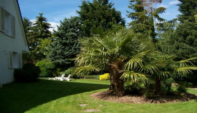 Agence immobilière IMMO NOUVEAU EGLY